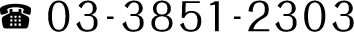 03-3851-2303